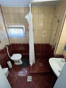 y baño con aseo, lavabo y ducha. en Iker Nyaraló Balatonfenyves, en Balatonfenyves