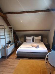 a bedroom with a large bed and a ladder at L 'Anima BB & table d'hôte in Helecine