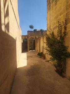 Gambar di galeri bagi Gozo Rustic Farmhouse with stunning views and swimming pool di Sannat