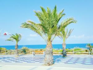 a group of palm trees on a tile floor with the ocean at Casa Ilda (Gran Alacant) in Gran Alacant