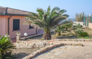 a palm tree in a yard next to a house at Awesome Apartment In La Ciaccia With 1 Bedrooms in Codaruina