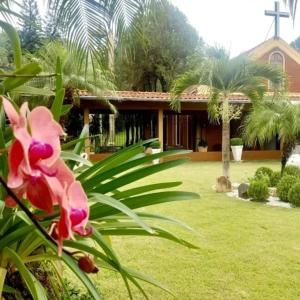 uma flor rosa em frente a uma casa em Hostel SLG em Maringá