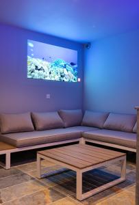 sala de estar con sofá y TV en Villa gorille - 240m2- 6chb - SPA-Sauna-Babyfoot-Arcade en Ittenheim