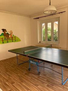 eine Tischtennisplatte in einem Raum mit Tischtennisball in der Unterkunft Příjemný apartmán se zahradou in Ostřešany