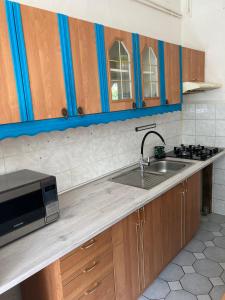 cocina con fregadero y microondas en Příjemný apartmán se zahradou, en Ostřešany