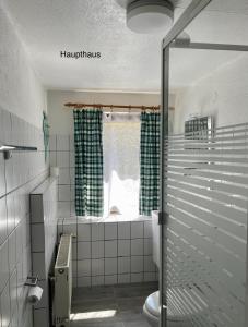 a bathroom with a shower and a toilet and a window at Murmeltier in Hausen im Tal