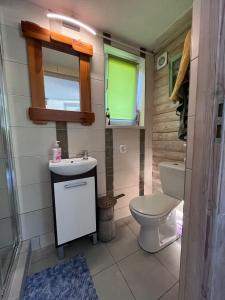 een badkamer met een toilet en een wastafel bij Studio Nina in Raba Wyżna