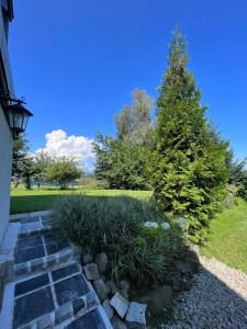 a garden with a christmas tree and a pathway at Studio Nina in Raba Wyżna