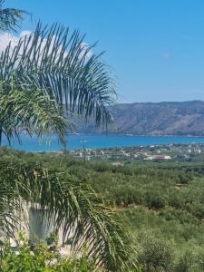 uitzicht op de oceaan en een palmboom bij Villa Vanessa in Kissamos