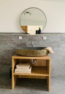 ein Badezimmer mit einem Steinwaschbecken und einem Spiegel in der Unterkunft Deichgraf „Die Elbpension“ in Dornburg