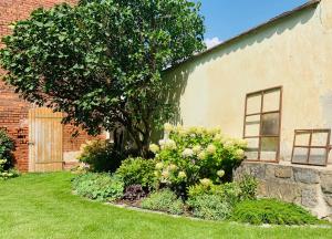 un jardín con un árbol junto a un edificio de ladrillo en Deichgraf „Die Elbpension“ en Dornburg