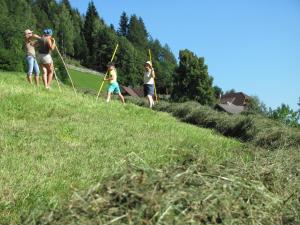 Eine Gruppe von Leuten, die mit Schlauchschläuchen einen Hügel hinaufgehen in der Unterkunft Lercherhof in Feld am See