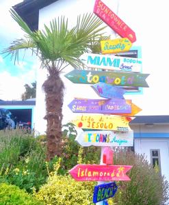 a bunch of signs in front of a palm tree at Emyda' s Tropical Home at Goldsteig trail in Wiesau