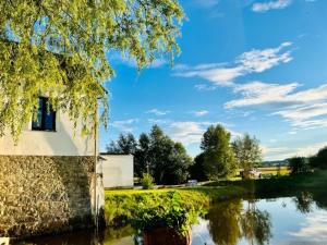 a view of a river with a building and a tree at Peškův mlýn - apartmán in Borovany