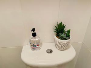 una bottiglia d'acqua in cima a un WC di A Room in Central Park Apts a Carrick on Shannon