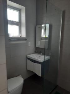 a bathroom with a sink and a toilet and a window at Ivy Apartment- Lotus in Mount Lavinia