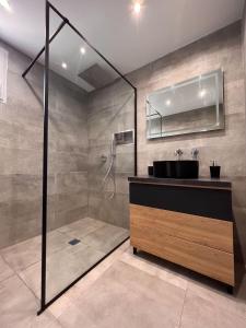La salle de bains est pourvue d'une douche, d'un lavabo et d'un miroir. dans l'établissement Maison avec Jacuzzi Marseille, à Marseille