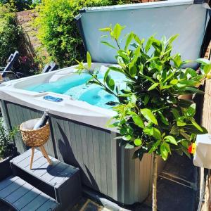 un jacuzzi en un jardín con una planta en King Suite In 600 Year Old Manor House In Saffron Walden North Essex, en Saffron Walden