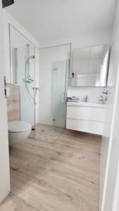 a bathroom with a toilet and a sink and a shower at Ring Apartment am Nürburgring in Herresbach