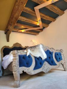 un gato sentado en un sofá azul en una habitación en King Suite In 600 Year Old Manor House In Saffron Walden North Essex en Saffron Walden