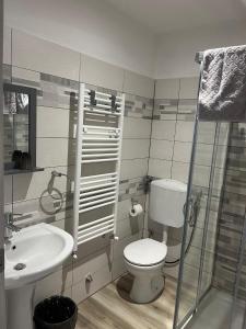 ein Bad mit einem WC, einem Waschbecken und einer Dusche in der Unterkunft Villa Flora di Capriata d'orba in Predosa