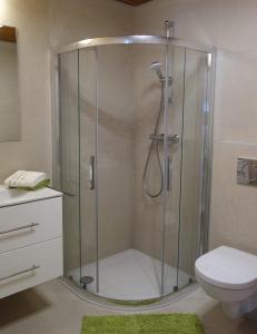 uma cabina de duche na casa de banho com WC em Ferienwohnung Mariner Inzing em Inzing