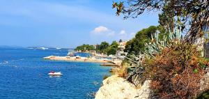 a boat in the water next to a beach at Didova kuća in Brodarica
