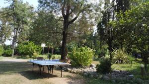 Giardino di Marshal Resort Kobuleti