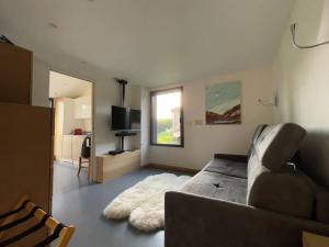 a living room with a couch and a television at Gîte de charme 5 étoiles pour couple avec sauna et jacuzzi extérieurs privatifs in Peaugres