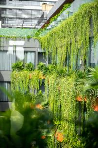 a building with a bunch of plants hanging from it at Chi House Danang Hotel and Apartment in Da Nang