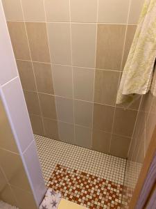 Kúpeľňa v ubytovaní Villa Androcec