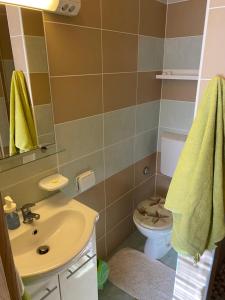 Kúpeľňa v ubytovaní Villa Androcec