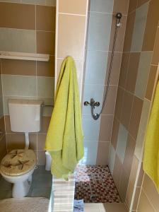 Kúpeľňa v ubytovaní Villa Androcec
