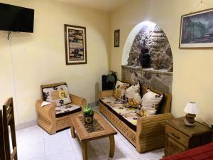 ein Wohnzimmer mit 2 Sofas und einem Kamin in der Unterkunft Noria House in Exhacienda La Escalera in Guanajuato