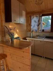 a kitchen with a counter and a sink in a cabin at Domki u Wiesi in Giżycko