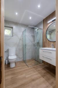 a bathroom with a shower and a toilet and a sink at Roztoczańska Ostoja in AdamÃ³w +32 photos
