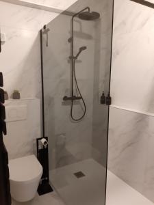 a bathroom with a shower and a toilet at Novia - Op de zeedijk, parkeren mogelijk in Ostend +11 photos