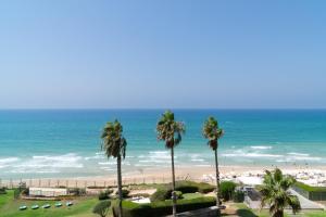 a view of a beach with palm trees and the ocean at Seaview Stylish Apartment with Balcony in Herzelia 