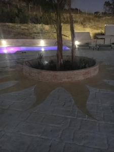 Kép Bella Vista szállásáról Marina di Palmában a galériában