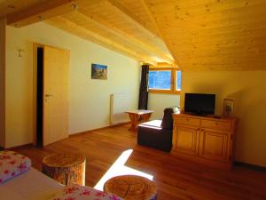 een woonkamer met een bank en een tv op een kast bij Agriturismo Lüch de Vanc in San Martino in Badia