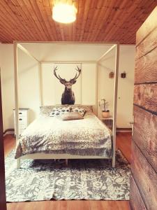 sypialnia z łóżkiem z głową jelenia na ścianie w obiekcie Die Alm in Schöllbüchl w mieście St. Martin