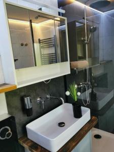 uma casa de banho com um lavatório branco e um espelho. em 07 Birkenhain em Parchtitz