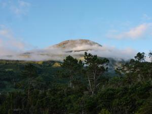 a mountain obscured by clouds in the forest at Casas do Amarelo in São Mateus
