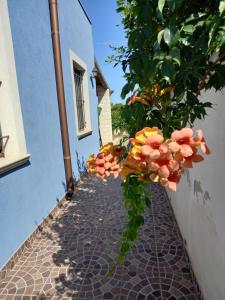 Fotografie z fotogalerie ubytování Villa Serena v destinaci Granelli