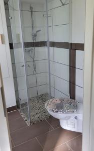 Bilik mandi di Haus Evelynchen Apartment 1 Deutschhof +16 gambar