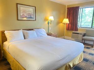 コダックにあるSmokies Inn - New Linens & Ultrafast WIFI - Friendliest Hospitality Guaranteed!のホテルの部屋に白い大型ベッドが備わるベッドルーム1室が備わります。