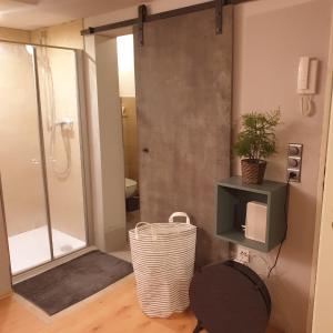 a bathroom with a shower with a glass door at Top Studio Appartement im Grünen nah Phantasialand in Brühl