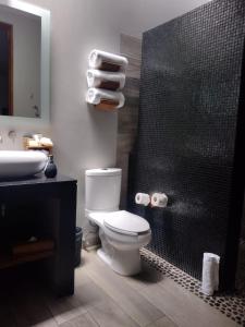 a bathroom with a toilet and a shower and a sink at El Callejón Hotel Boutique in Oaxaca City