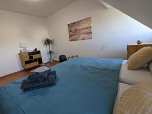 1 dormitorio con 1 cama grande con manta azul en Schönes 2 Zimmer Appartment in der Altstadt von Koblenz en Koblenz