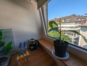 un rebord de fenêtre avec une plante en pot et des bouteilles d'eau dans l'établissement Schönes 2 Zimmer Appartment in der Altstadt von Koblenz, à Coblence